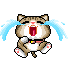 cat 24